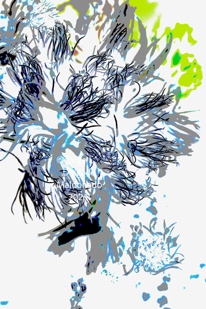 PP03 for prints