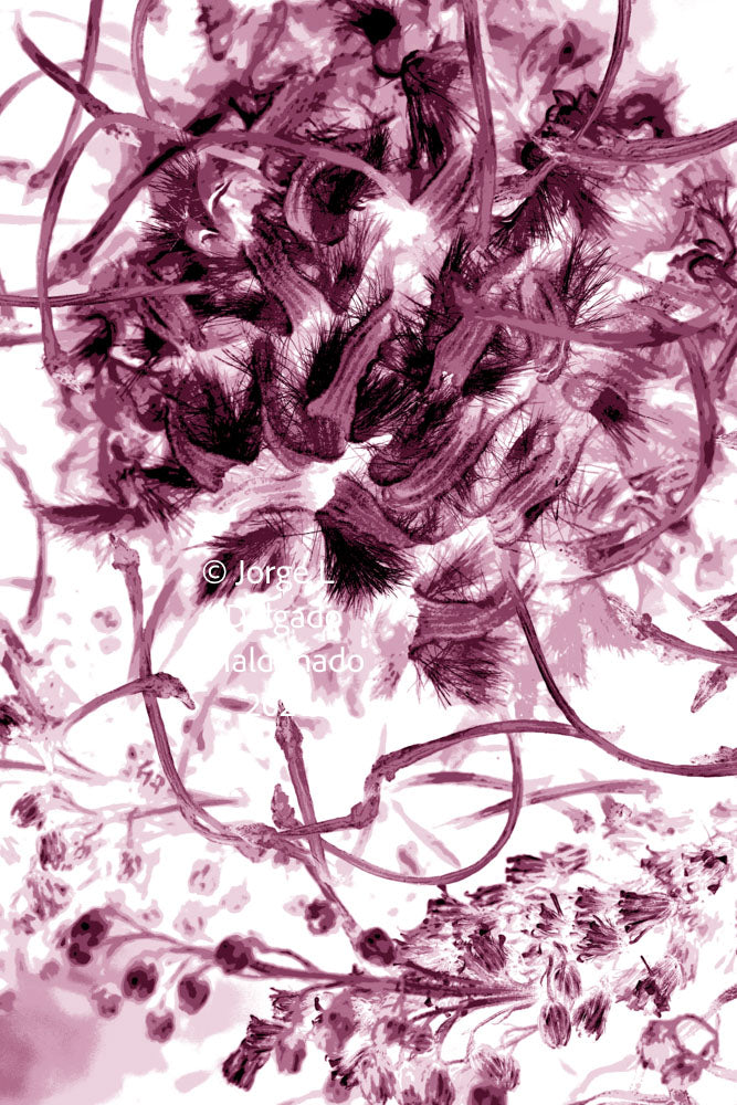 PP16 for prints