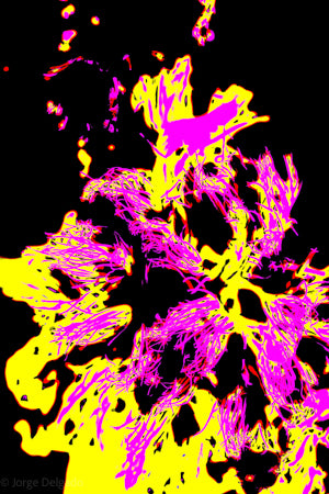 PP11 Canvas 30" x 40"