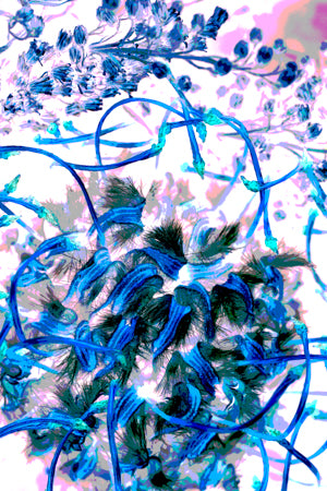 PP15 Canvas 30" x 40"