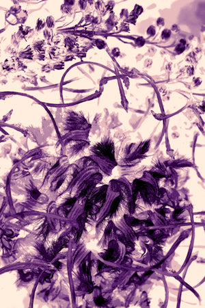 PP19 Canvas 30" x 40"