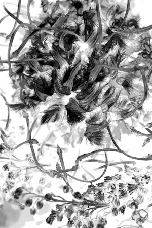 PP20 Canvas 30" x 40"