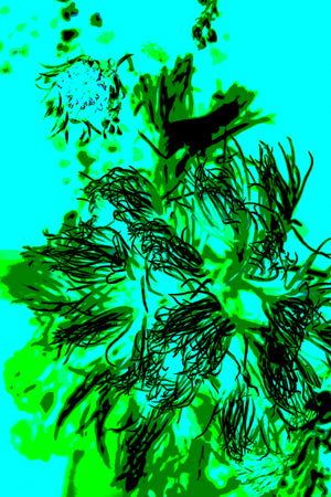 PP06 Canvas 30" x 40"