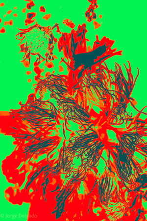 PP07 Canvas 30" x 40"