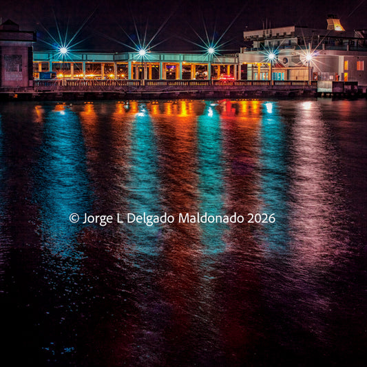 04 — Harbor Lights