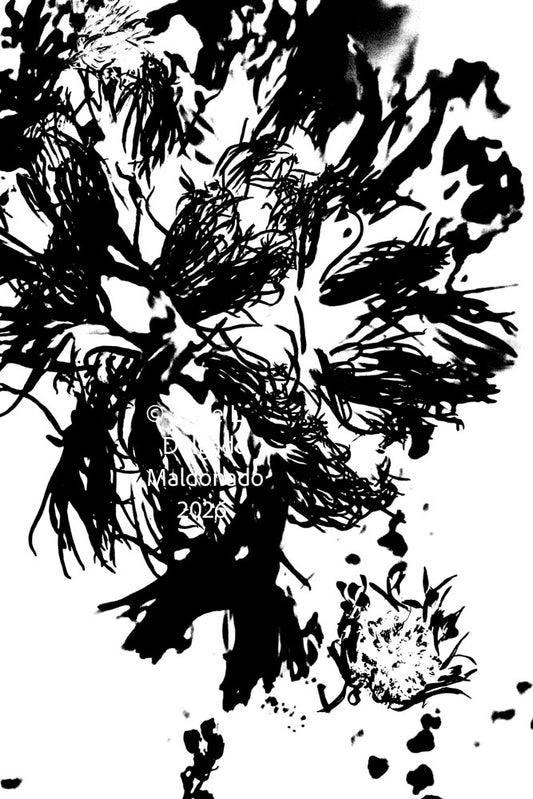 PP04 for prints
