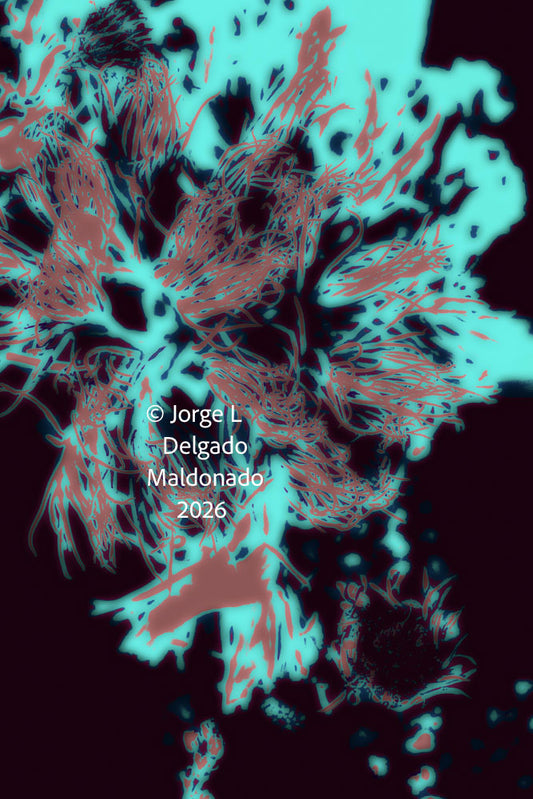 PP10 for prints