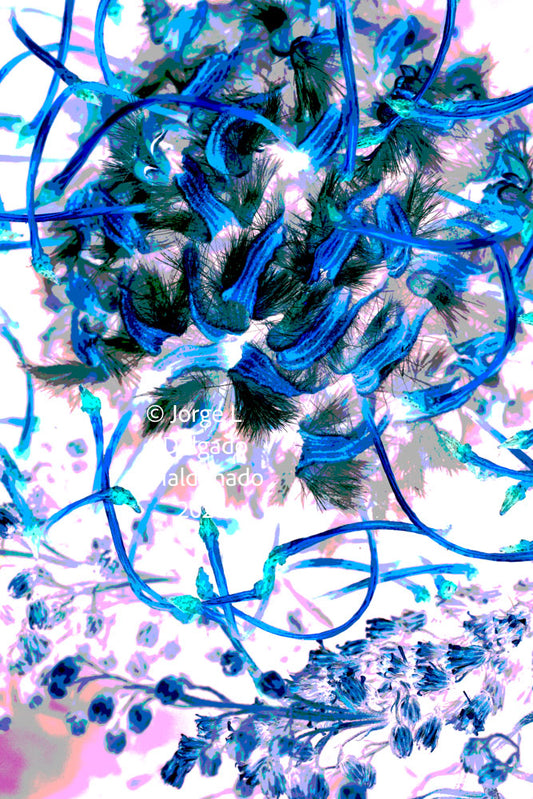 PP15 for prints
