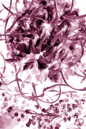 PP16 Canvas 30" x 40"