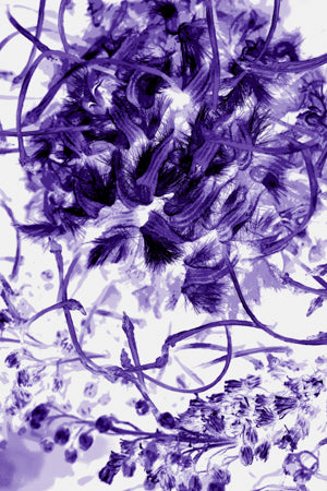 PP21 Canvas 30" x 40"